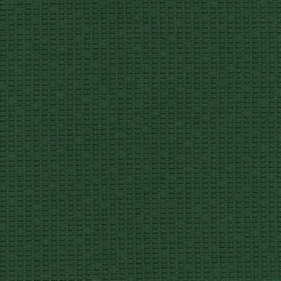 Silver State New York Forest